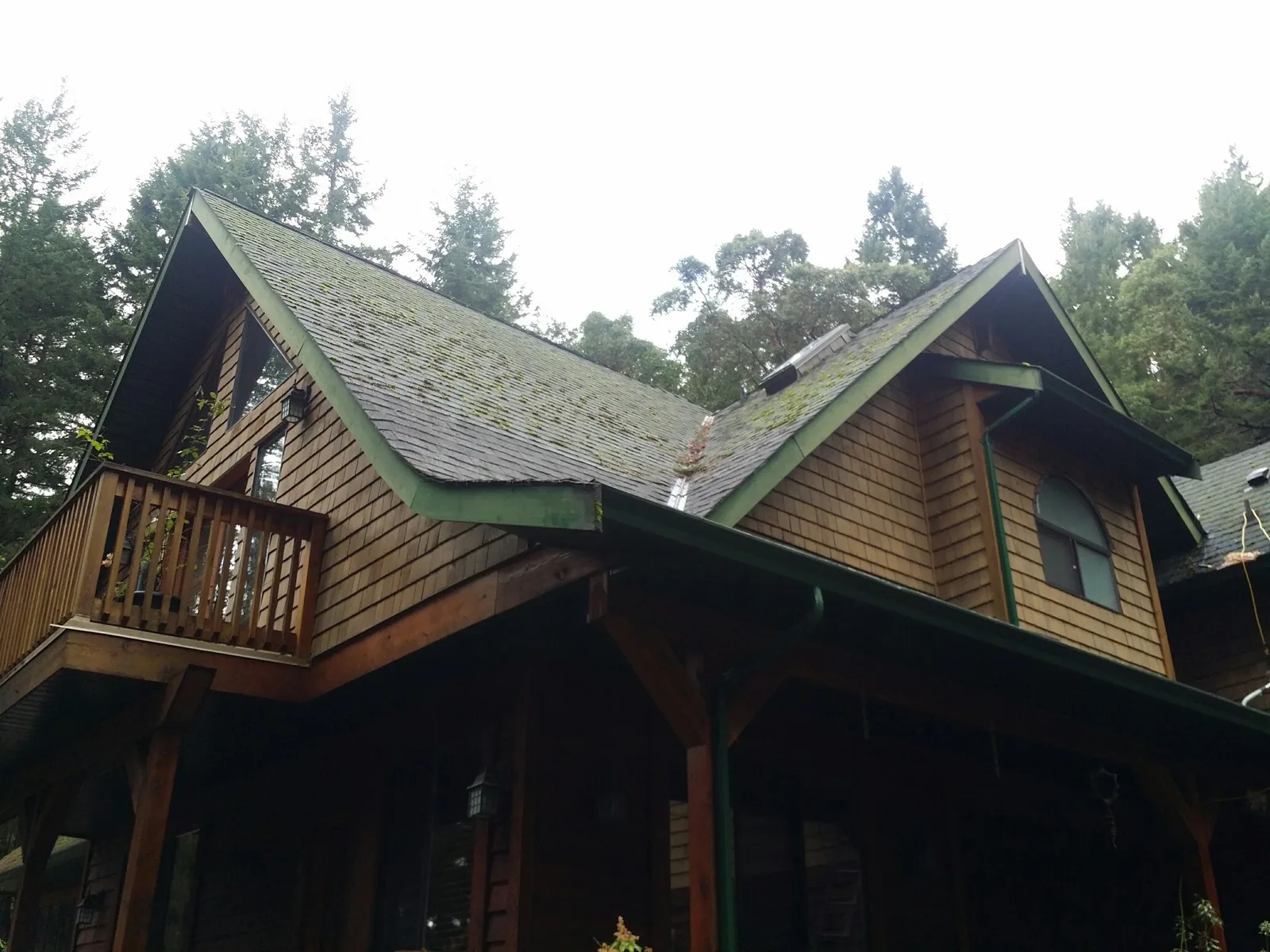 Moss-covered roof before professional roof moss removal in Victoria BC